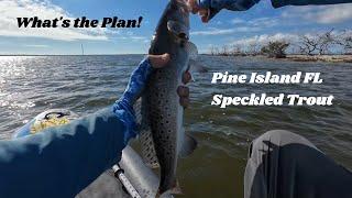 What's the plan! Fly fishing Pine Island FL