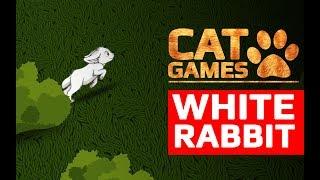 CAT GAMES -  FOLLOW THE WHITE RABBIT (Entertainment video for cats to watch)