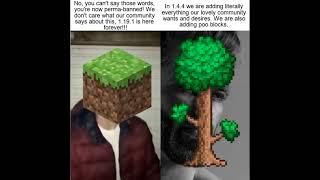 Mojang and Microsoft vs Re-Logic and Terraria