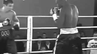 BOXING VINE #5