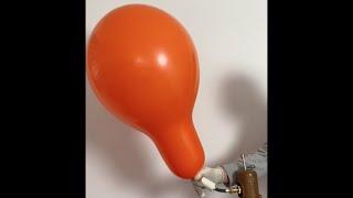 Inflating a Qualatex 24 inch orange balloon with helium