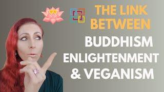 The link between Buddhism, Enlightenment & Veganism