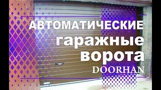 Автоматические секционные ворота Doorhan (Россия) 2500х2000 с электроприводом