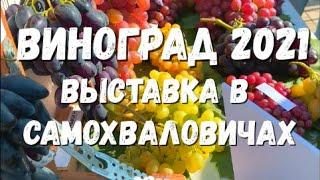 Виноград 2021. Выставка в агрогородке Самохваловичи.