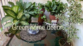 Green Home Decor Using indoor Plants , 18 Arrangements. TheGreenLeafGarden.