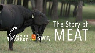 The Story Of Meat | Regenerative Agriculture Documentary