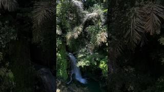 Прогулка к водопаду «Таман Сари» #бали #индонезия #водопады