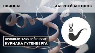 Новые инфекции. Прионы - что это такое? – Алексей Антонов