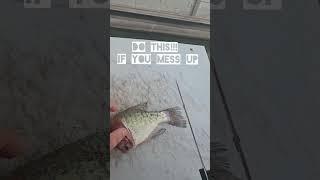 Fillet Your Crappie Backwards!