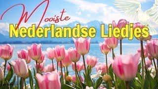 Nederlandse Liedjes Uit De Oude Doos  Gezellige Hollandse Hits Beste Nederlandstalige Liedjes Ooit