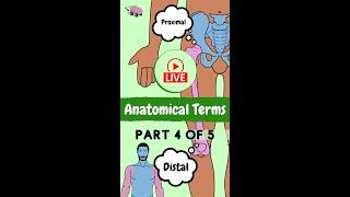 Proximal & Distal [Anatomical Terms & direction]