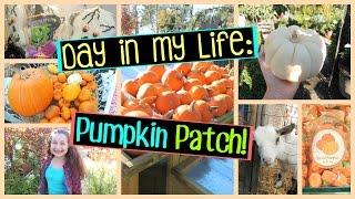 Day In My Life: Pumpkin Patch!