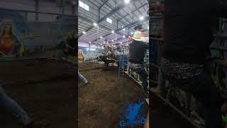 Ciclón de los Tsunamis #guerrerodeljaripeo #jaripeo #jinete