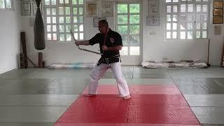 Matayoshi Kobudo - Hakuho