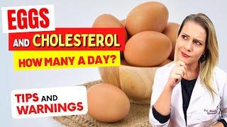 HOW MANY EGGS CAN YOU EAT A DAY? Does it Raise Cholesterol? Important tips and warnings