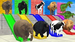 Let's Break the Wall with LONG SLIDE Fat Elephant, Cow, Lion, Gorilla, Dino Wild Animals Cage Game