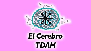 QUÍMICA y FUNCIONAMIENTO del CEREBRO TDA/TDAH