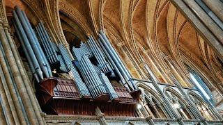 Organ Recital: Jan Liebermann