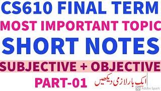 CS610 Final Term Preparation Short Notes Subjective and Objective by Tech Solo Soft