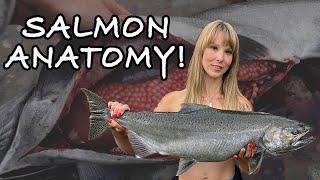 Fishing for Vedder River salmon and a fish anatomy lesson! #salmonfishing #fishing #outdoors #salmon