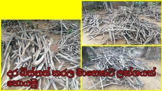 දර බිස්නස් කරලා මාසෙකට ලක්ශයක් හොයමු - Let's make money by doing firewood business