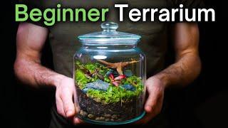 How To Make a Terrarium: An In-Depth Tutorial