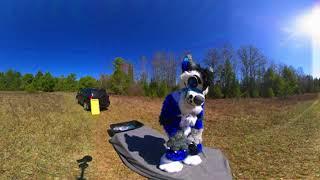 I. am. get.ting. so. hot. #fursuiteveryday #furr #furry #fursuiters #furbag #360 #360video