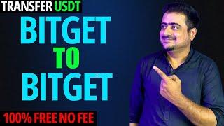 How To Transfer USDT Bitget To Bitget 100% Free - No Fee 2024