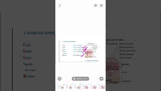 SKIN LAYERS TRICKS /MNEMONICS PHARMACOLOGY /EXIT EXAM PREPARATION/PHARMACIST EXAM PREPARATIONS #mrb