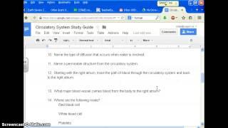 Circulatory System Study Guide Review