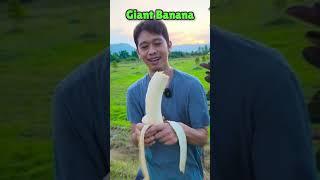 Choose one fruit to eat in your life forever #viral #pt2 #shorts