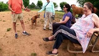 Leo and Artemis find love in the dog park