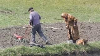 Дед танцует Бабка ругает/Grandfather dancing Grandmother scolds