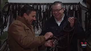 jose antonio olea 1 picadero de cipriano  guadarnes cuadra, nudo y trabajos | Documental en Español