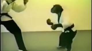 Black belt monkey doing karate