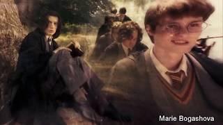 Гарри Поттер/Harry Potter- клип "Живите для живых" Александр Маршал и Мали