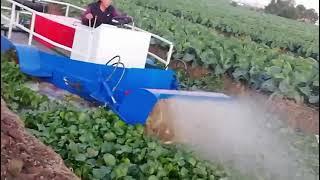 Yongsheng 5 cubic meter  Aquatic plants harvester in working