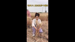 #Popularity Incentive ProgramFunny #Humor #Countryside Fun #Short Play #Good Will Pay