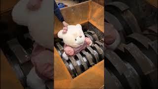 shredded teddy bear amazing #shorts #shredded #asmr #relax #viral #viralshorts