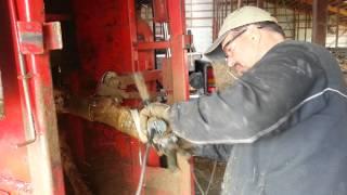 Hoof Trimming with two grinders