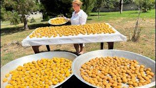 СУШИМ ПОМИДОРЫ И СЛИВЫ НА СОЛНЦЕ | DRY TOMATOES AND PLUMS IN THE SUN