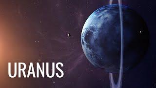 What has NASA discovered around Uranus so far?