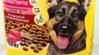 Обзор корма Pedigree для взрослых собак крупных пород со вкусом говядины