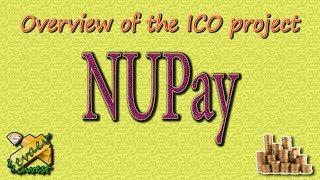 NUPay / обзор ICO компании.