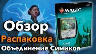 Обзор и распаковка Guild Kit Симики Выбор Равники Magic: The Gathering mtg box opening Simic