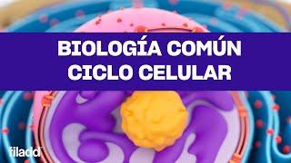 Biología | Ciclo Celular | PAES | Preu Filadd