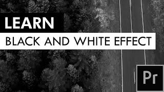 Learn Black and white Effect in Adobe Premiere pro 2021 (Demo)| Smooth Effects | How to do this