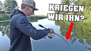 Kriegen wir diesen Fisch an der UL Rute? Angeln mit kleinen Ködern auf MESSERSCHARFE Raubfische!