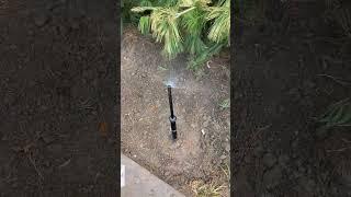 Telescoping sprinkler system sprinklers #shorts #tips #tricks #green #gardening #lawn #gardening