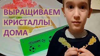 Выращивание кристаллов дома |  Кристаллы сахара